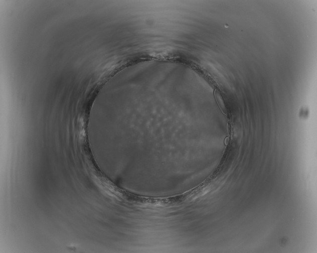 X0000097671106200803142148