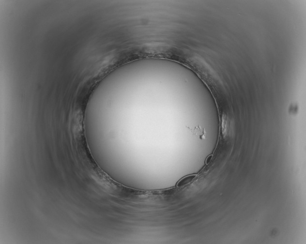 X0000097671107200803142148