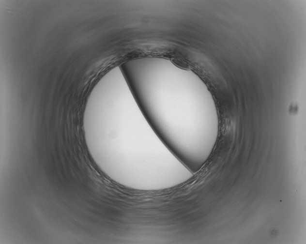 X0000097671108200803142148
