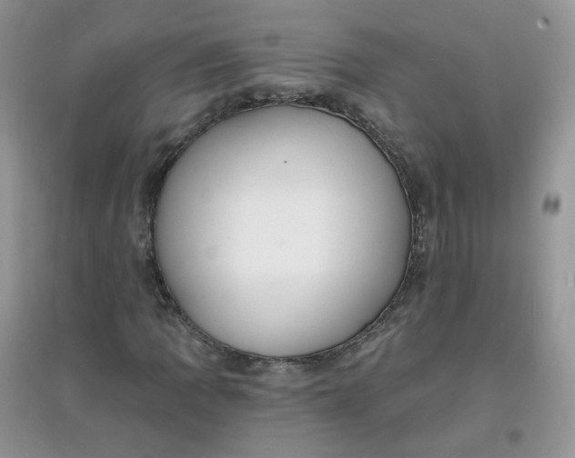 X0000097671109200803142148