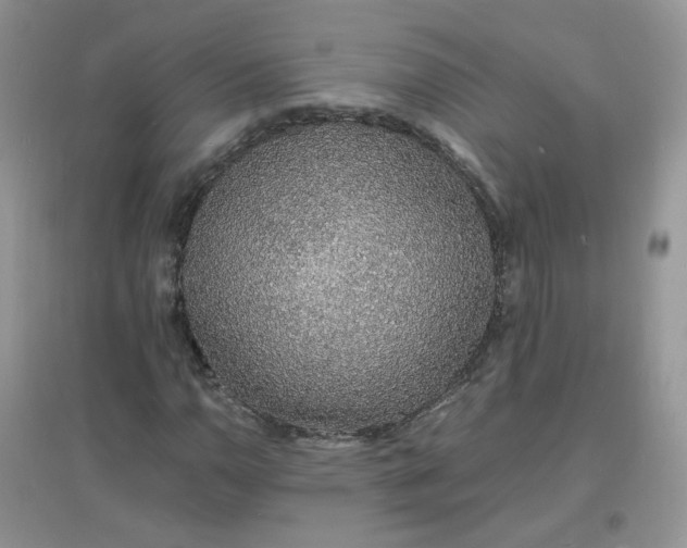 X0000097671110200803142148