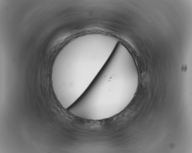X0000097671111200803142148