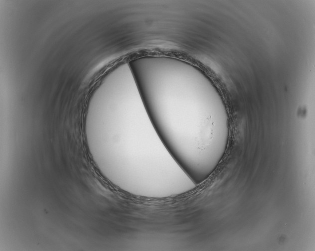 X0000097671112200803142148