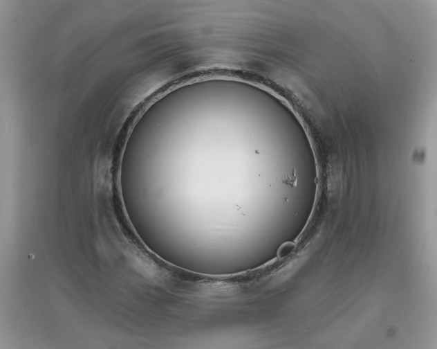 X0000097671113200803142148