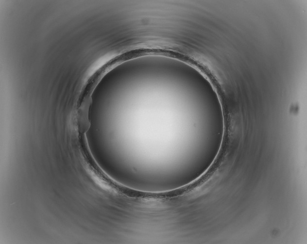 X0000097671114200803142148