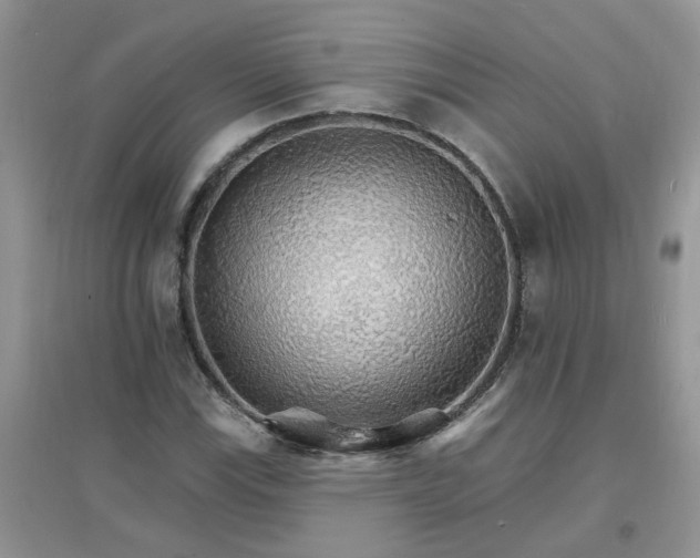 X0000097671115200803142148