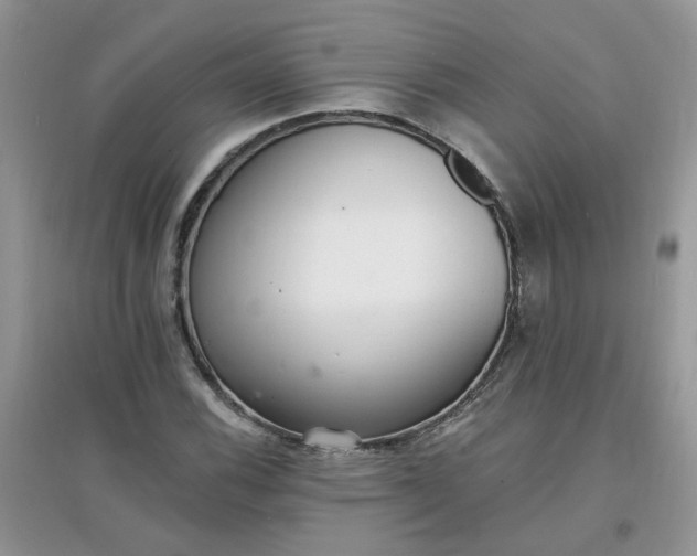 X0000097671116200803142148