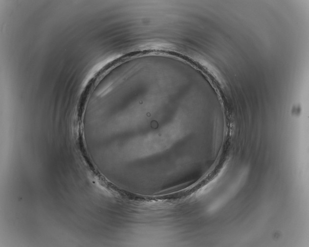 X0000097671117200803142148