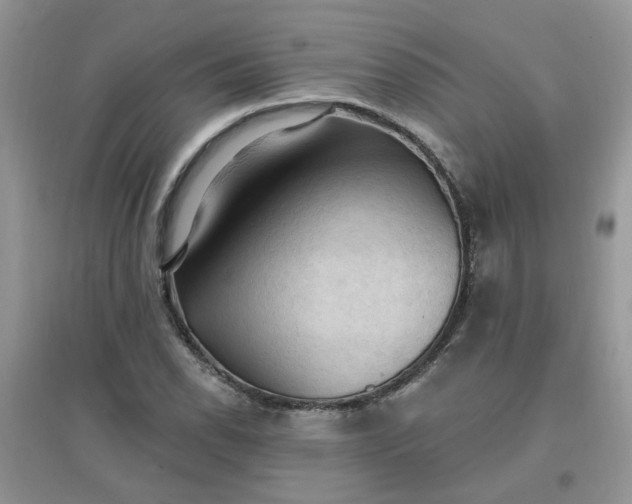 X0000097671118200803142148