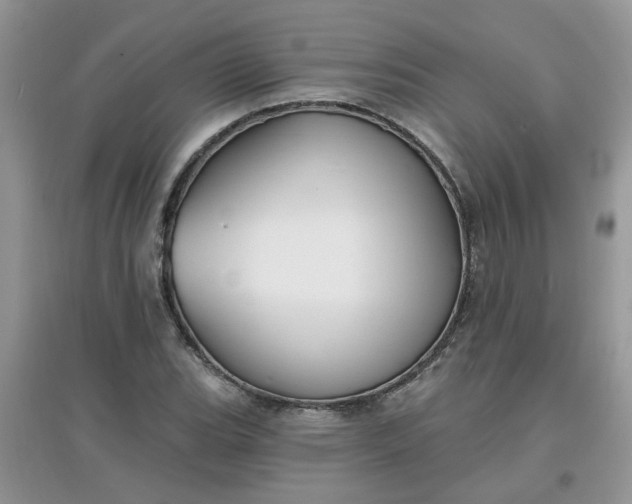 X0000097671119200803142148