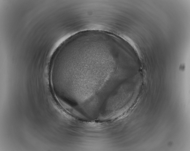 X0000097671120200803142148