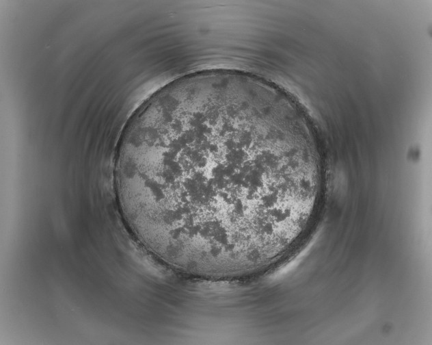 X0000097671121200803142148