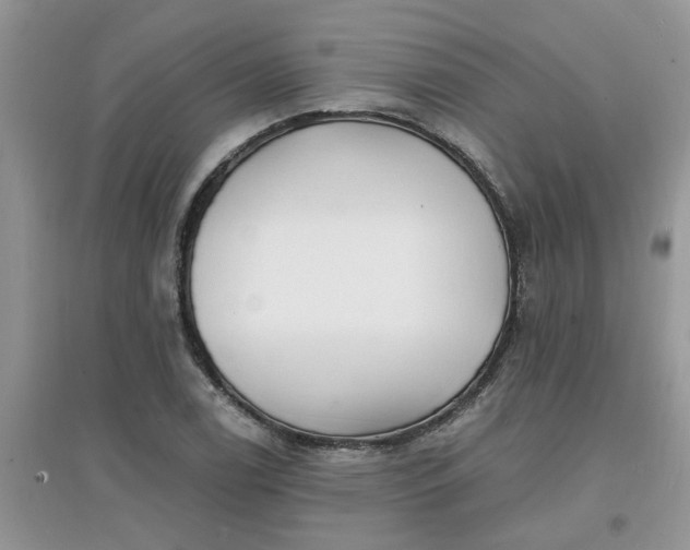 X0000097671122200803142148