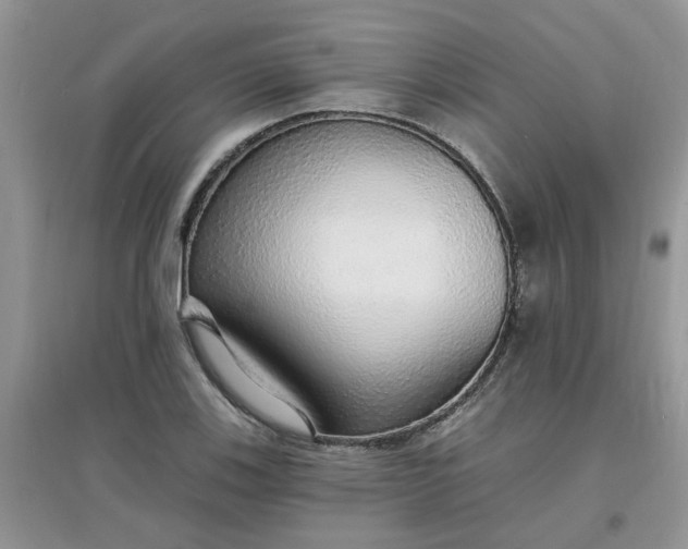 X0000097671123200803142148