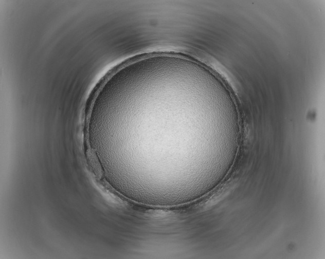 X0000097671124200803142148