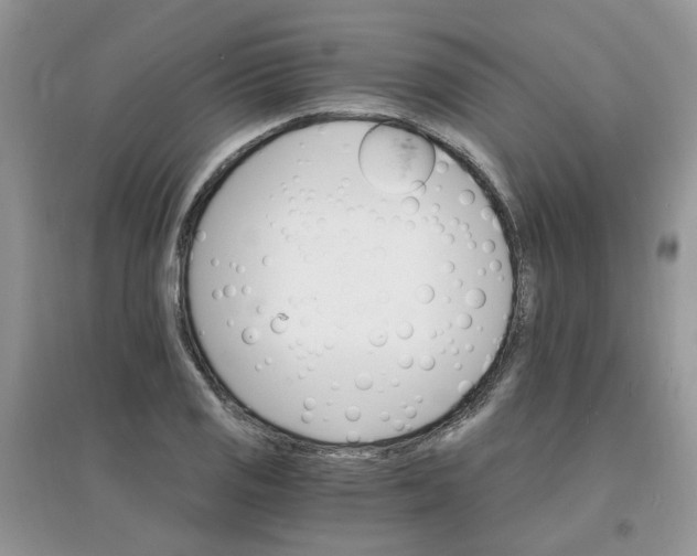 X0000097671125200803142148
