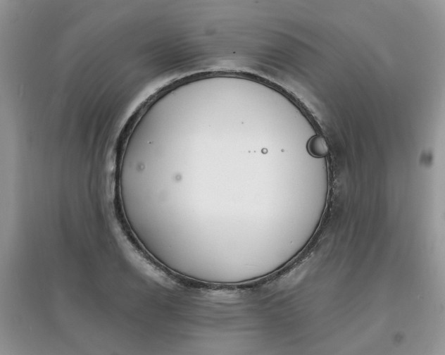 X0000097671126200803142148