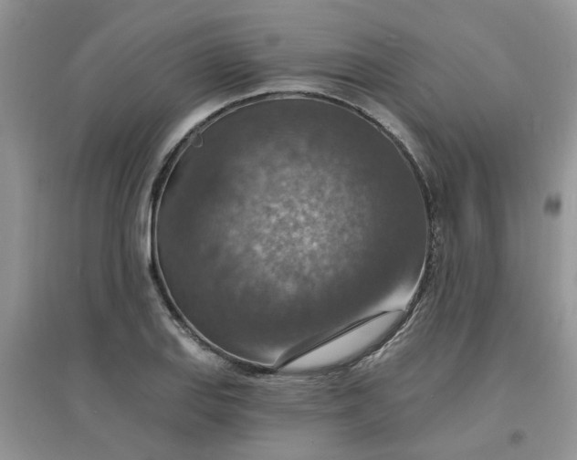 X0000097671127200803142148