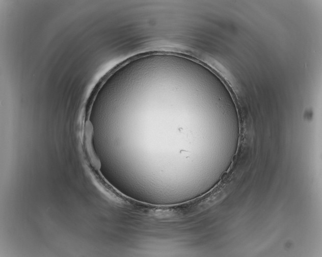X0000097671128200803142148