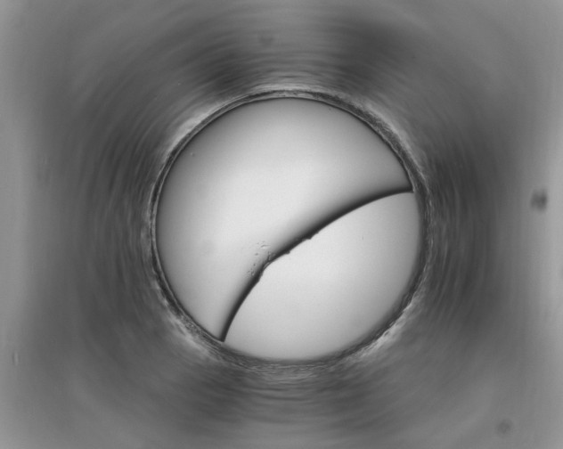 X0000097671129200803142148