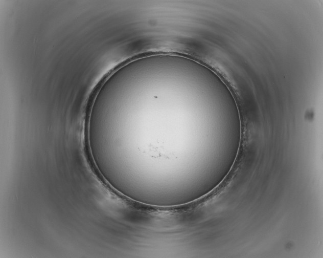 X0000097671130200803142148