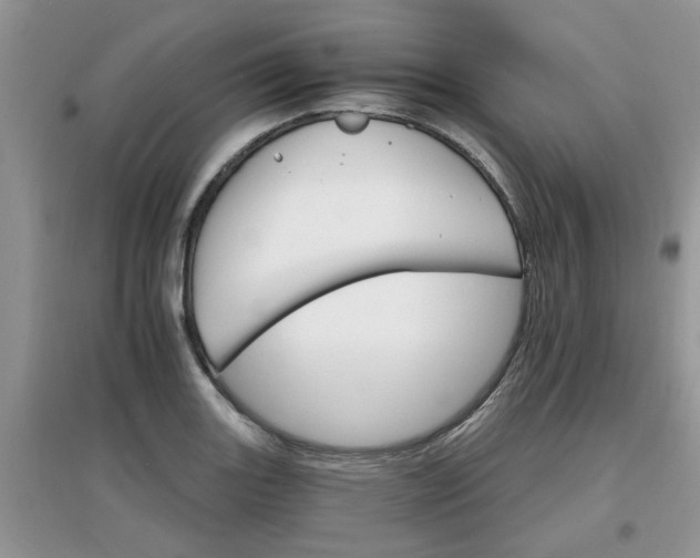 X0000097671131200803142148