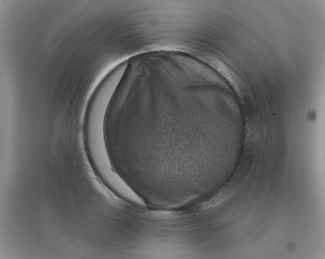 X0000097671132200803142148