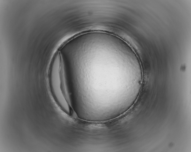 X0000097671133200803142148