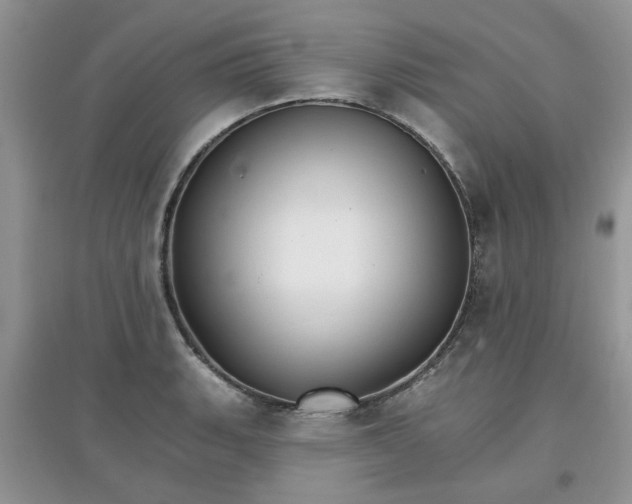X0000097671135200803142148