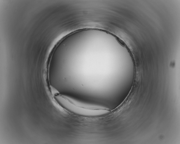 X0000097671136200803142148