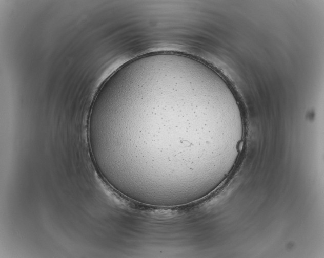 X0000097671137200803142148