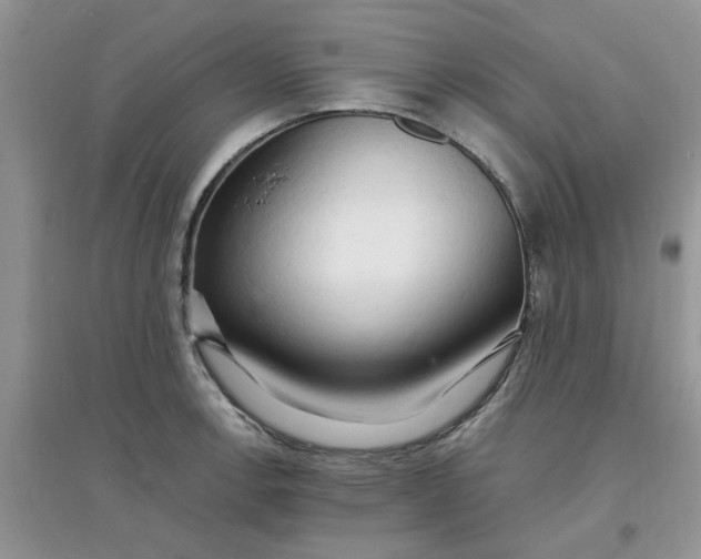X0000097671138200803142148