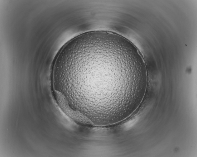 X0000097671142200803142149