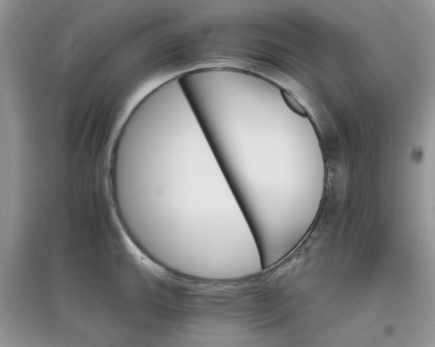 X0000097671143200803142149