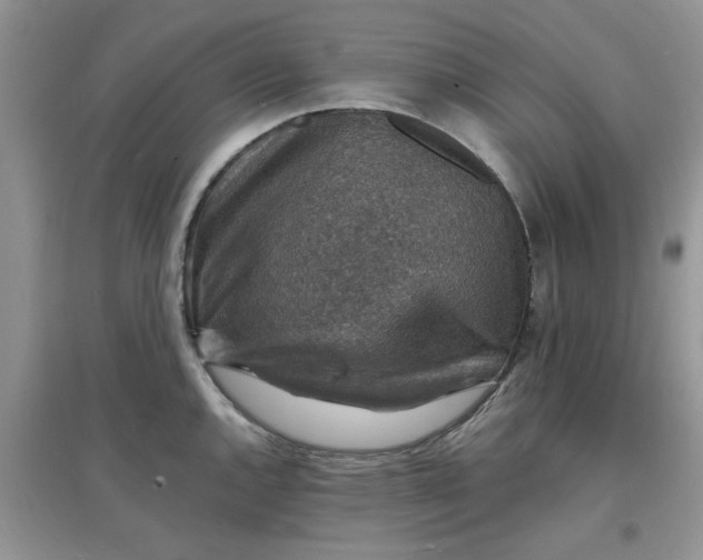 X0000097671144200803142149