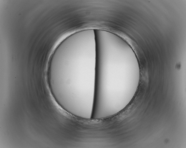 X0000097671147200803142149