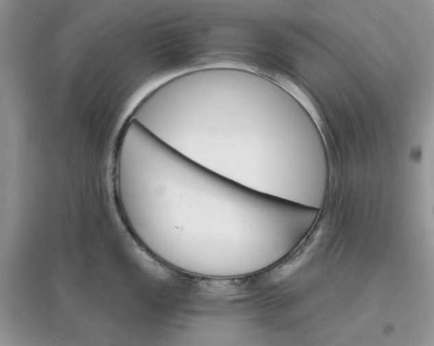 X0000097671149200803142149