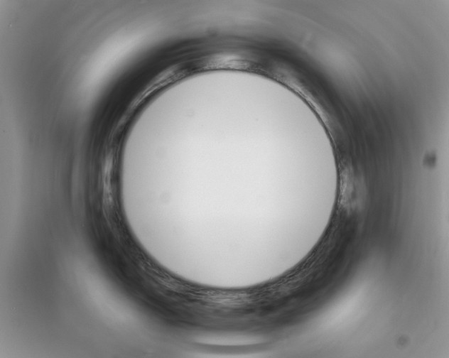 X0000097671150200803142149