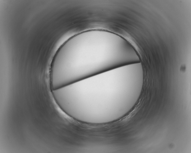 X0000097671151200803142149