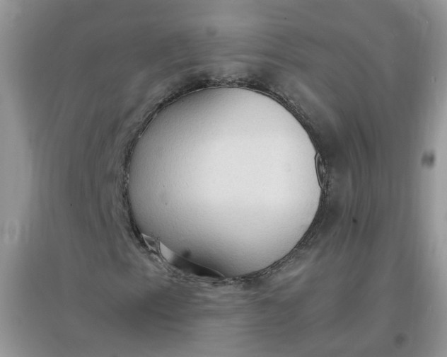 X0000097671153200803142148