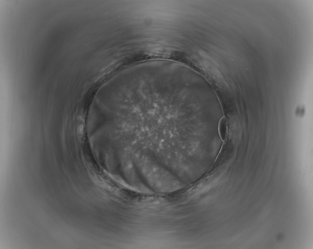X0000097671154200803142148