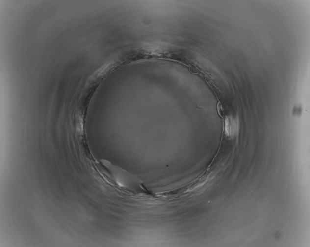 X0000097671155200803142148