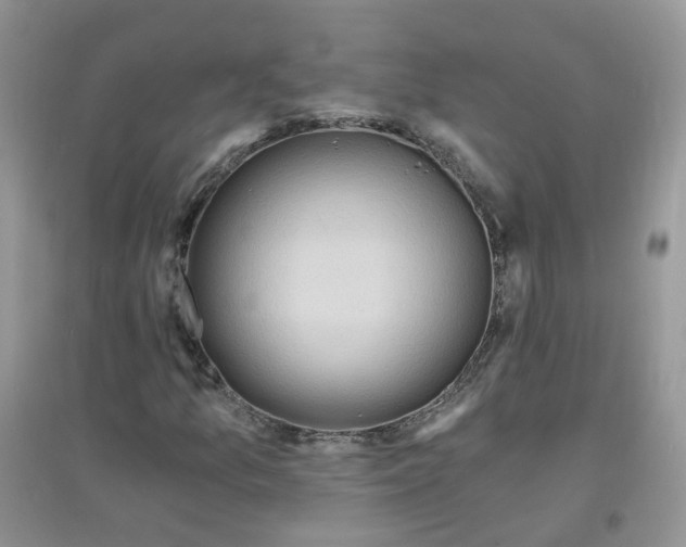 X0000097671157200803142148