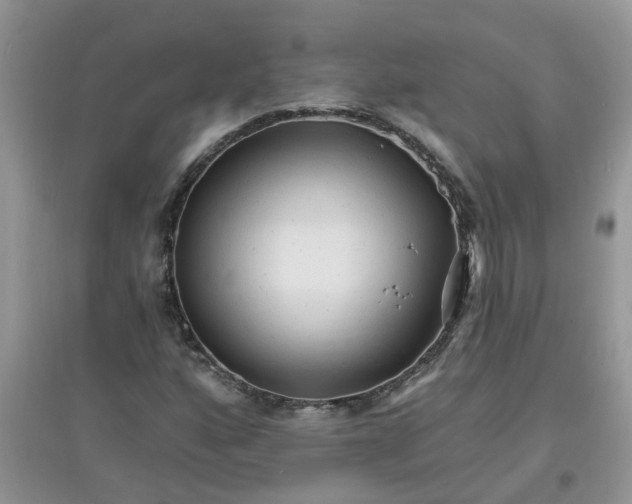 X0000097671160200803142148