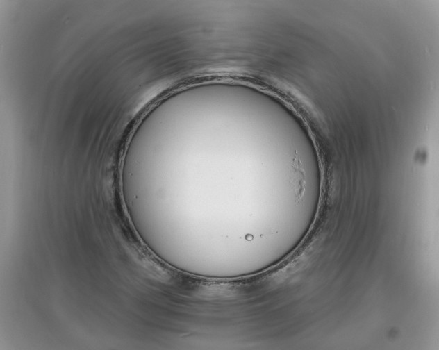 X0000097671162200803142148