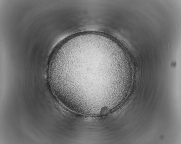 X0000097671166200803142148