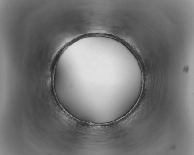 X0000097671167200803142148