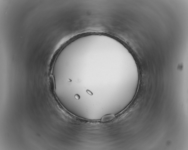 X0000097671168200803142148