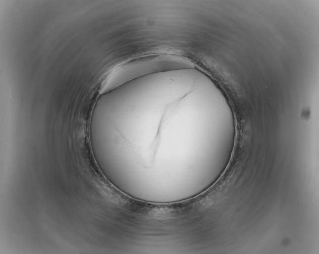 X0000097671169200803142148