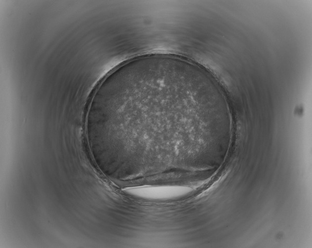X0000097671170200803142148